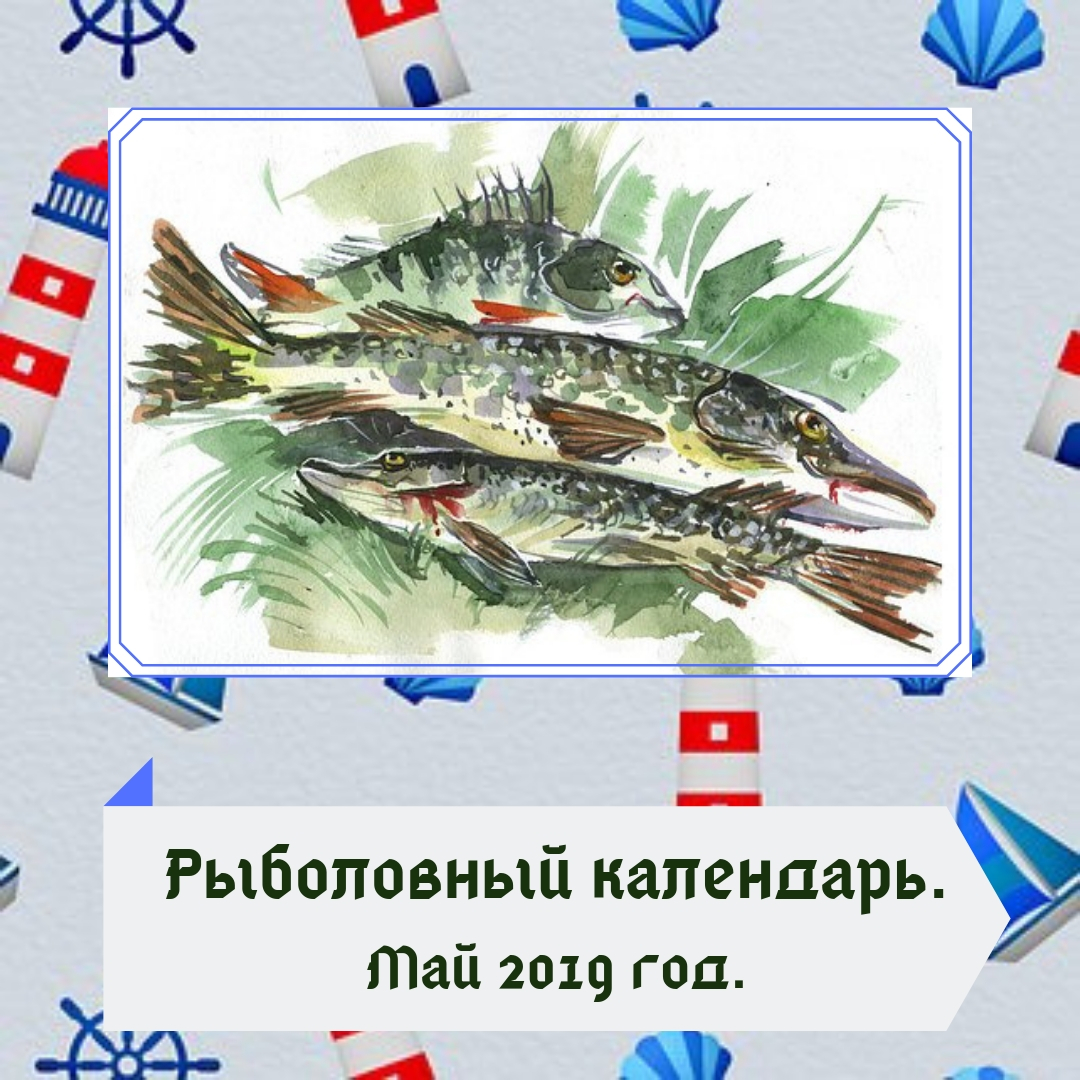Рыболовный календарь. Май 2019.